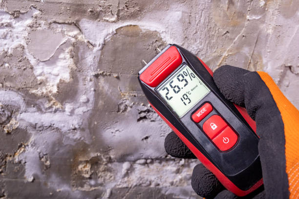 Best Post-Remediation Services in Fairlawn, VA