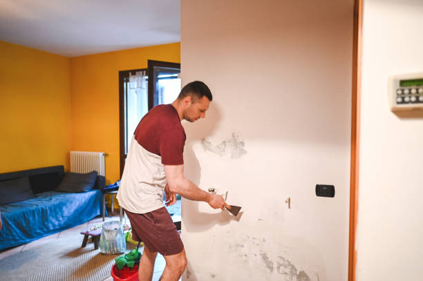 Best Attic Mold Remediation in Fairlawn, VA